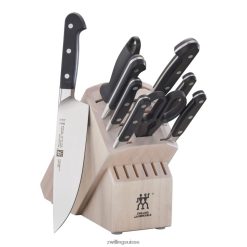 Zwilling pro 10 pcs, jeu de blocs à couteaux, blanc HV28V45 coutellerie